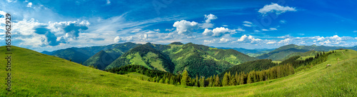 Wallpaper Mural Wide angle panoramic landscape of Carpathian Mountains with green hills, scenic forests and clear blue summer sky Torontodigital.ca