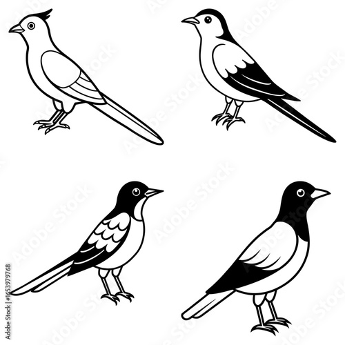 Four different bird drawings in black and white showcasing various poses and feather patterns nicely done
