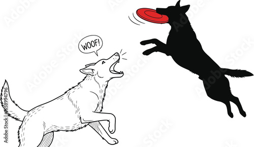 Dogs playing frisbee dog catching frisbee pet animal canine