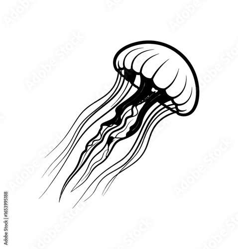Black and white jellyfish illustration