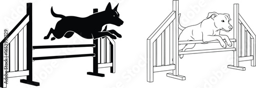 Dog agility jumping dogs pet sport canine training obstacle