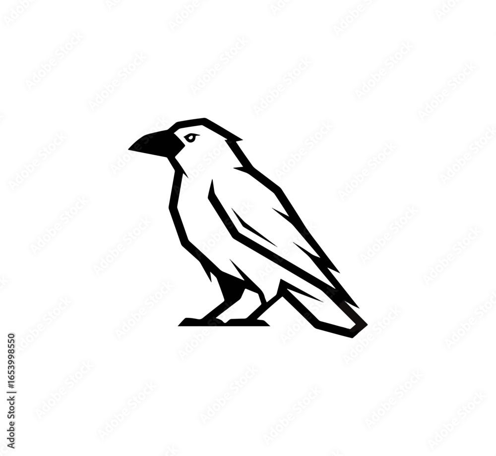 Obraz premium White bird silhouette on black background