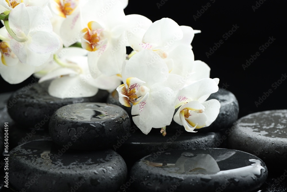 Fototapeta premium Beautiful orchid flowers with water drops on wet pebble stones against black background, closeup