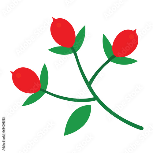 Detailed illustration of a single rose hip sprig featuring a twig with three vibrant red rose hips and green leaves