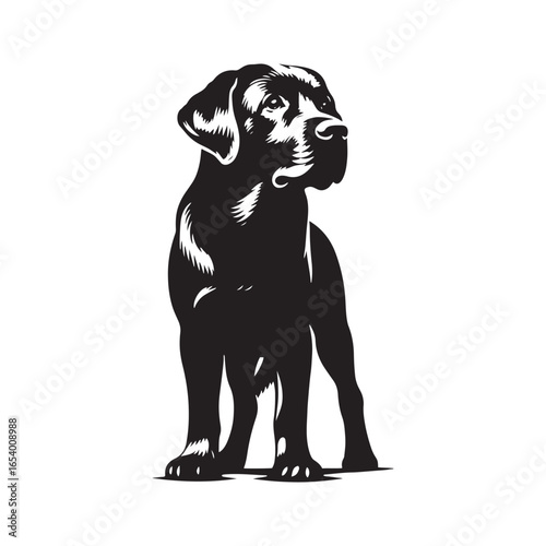 Labrador Retriever vector silhouette showcasing loyal, friendly, and playful nature, ideal for pet art, dog breed graphics, creative design, wall decor, digital projects, logos, and illustrations.
