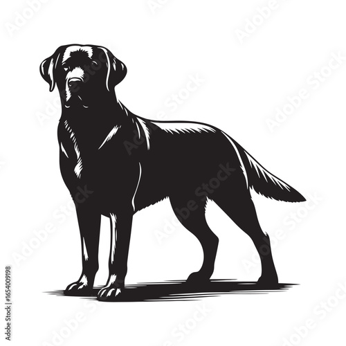 Labrador Retriever vector silhouette showcasing loyal, friendly, and playful nature, ideal for pet art, dog breed graphics, creative design, wall decor, digital projects, logos, and illustrations.
