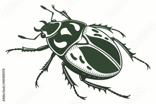 Illustration of a green beetle isolated on white background in vector format