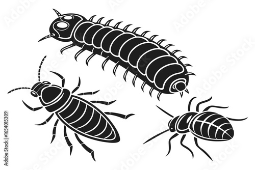 Monochrome illustration of centipede and termites isolated on white background