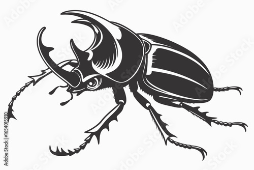 Illustration of a rhinoceros beetle isolated on white background