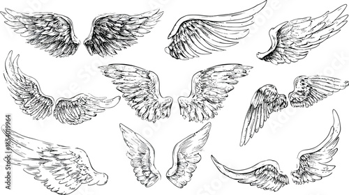 Sketch angel wings, set of wings
