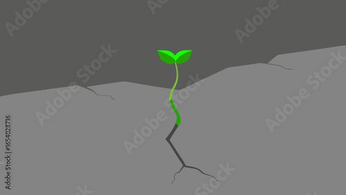 Explore a Vibrant Green Sprout Pushing Through a Cracked Surface