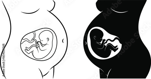 Pregnant woman baby in womb illustration pregnancy concept