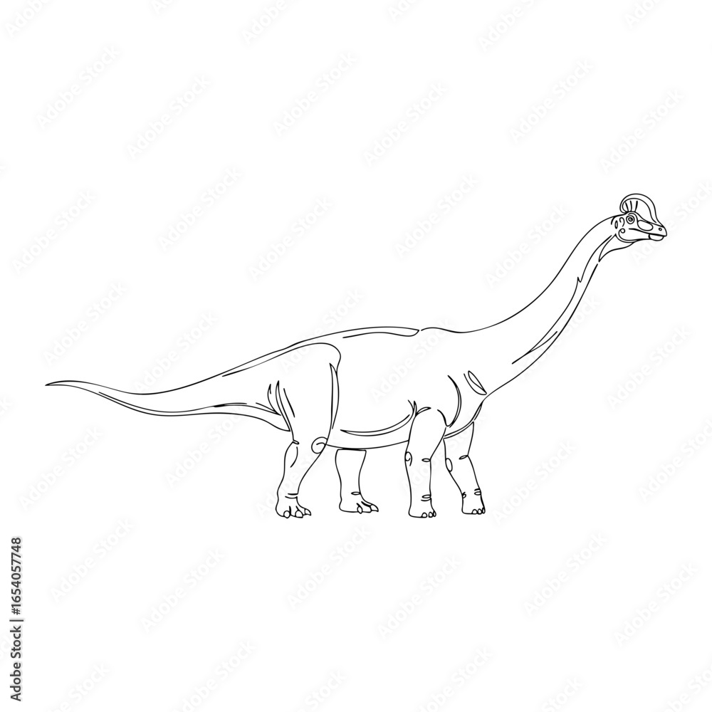 Fototapeta premium Vector line art of a large sauropod dinosaur with long neck and tail, prehistoric giant reptile illustration in outline style for study, coloring, and design use