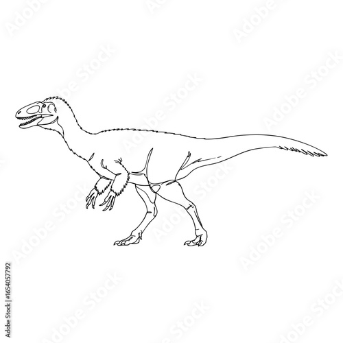 Vector line art of Allosaurus predator dinosaur with skeletal outline, sharp teeth, and claws in side view for science and design purposes