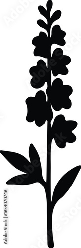 Vector Illustrator Delphinium Flower Stem Botanical Illustration Plant Silhouette