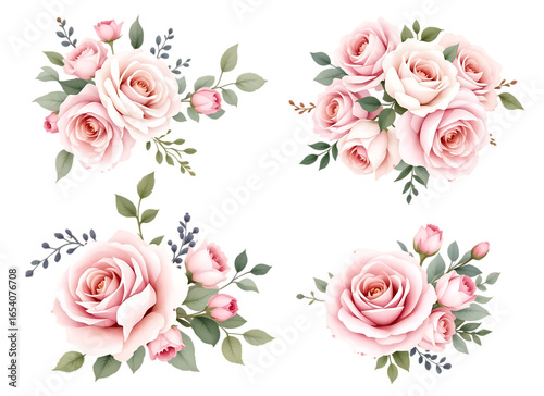 Watercolor light pink rose bouquets and arrangements, isolated on a transparent background