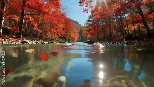 The red leaves falling into the lake