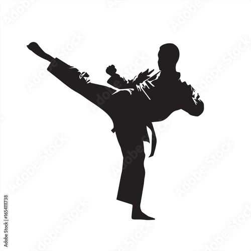Silhouette of a Martial Artist Doing High Kick - Vector Illustration