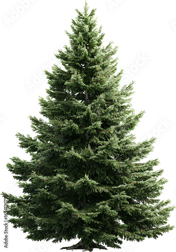christmas tree isolated on white