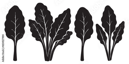 Healthy Swiss Chard Vegetables Leaves Pack Silhouette Vector Illustration on White Background