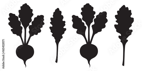 Turnip Greens Silhouette Vegetables and Leaves Set Vector Illustration on White Background