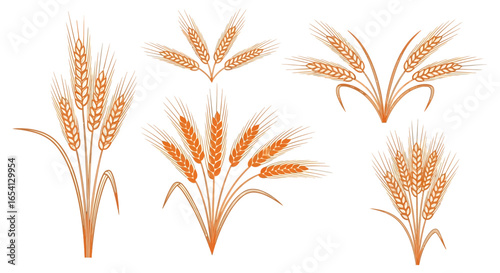 Wheat Bundle Collection Vector Illustration of Harvested Grain Crops for Design and Decoration