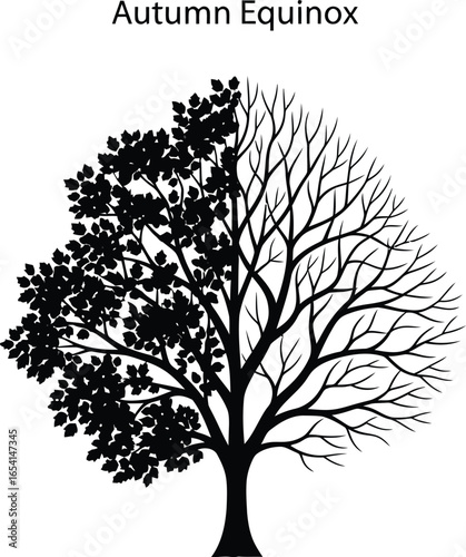 Autumn equinox with tree for fall season, nature landscape design vector illustration, seasonal change