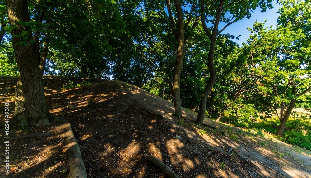 Fototapeta premium Lush green trees cast dramatic shadows on a sloping earthen hill, bathed in sunlight.