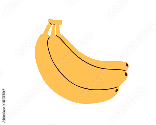 Banana fruit bunch, yellow peel. Fresh tropical snack, sweet healthy potassium food. Organic natural vitamin nutrition. Exotic banan icon. Flat vector illustration isolated on white background