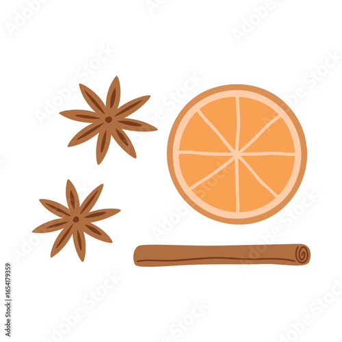 cinnamon and orange christmas spices isolated vector illustration