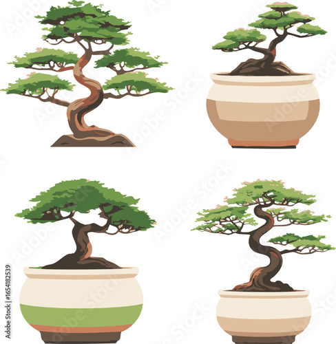Four different types of bonsai trees are shown in various sizes and shapes