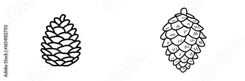 Detailed vector illustrations of pine cones for design use