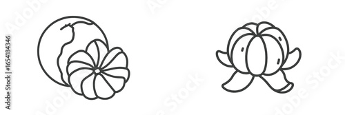 Vector art of fruits and flowers on a clean backdrop