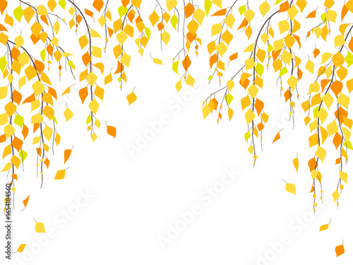 Vector Background with Autumn Weeping Birch Branches.