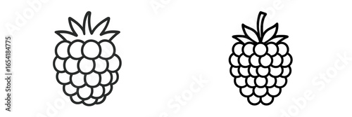 Vector illustration of blackberries in a minimalistic style