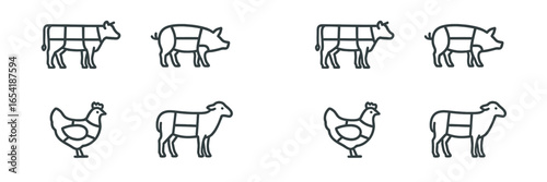 Animal cut diagrams as vector illustrations for educational resources