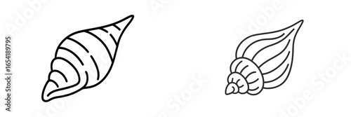 Unique vector illustration of seashells for creative design projects