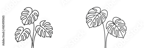 Vector illustration of tropical leaves for decor and design