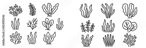 Unique collection of hand-drawn vector aquatic plants for design