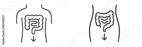 Digestive system illustration showing organs and functions