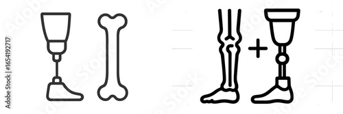 Illustration of prosthetic limb, bone structure, and human leg anatomy
