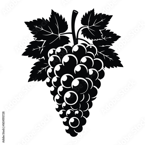 Black Silhouette of a Grapevine with Grapes