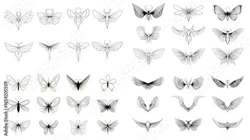 Elegant black and white moth and butterfly line art collection featuring symmetrical wings and fine details. Perfect for tattoo design, minimalist decor, and vintage illustration projects.