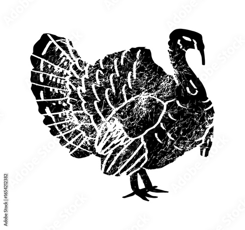 Turkey illustration. Turkey drawing. Turkey hand drawn illustration in vintage style. Thanksgiving turkey drawing