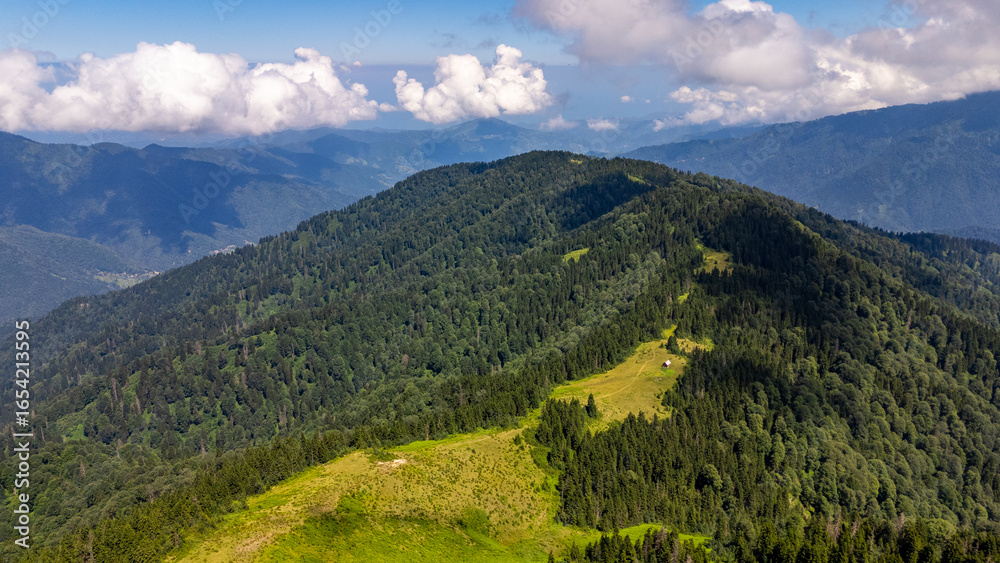 Obraz premium Winding road ascending through lush green forest in Camlihemin, Rize, Turkiye, Black Sea region