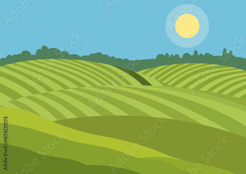 Green agricultural field with cultivated stripes under a blue sky and sun. Farming and summer landscape concept for background design.