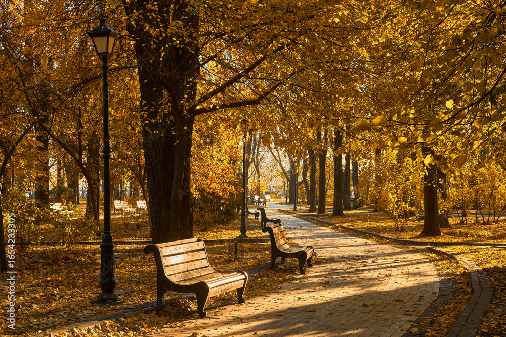 Naklejka premium Golden Sunlight on Park Bench