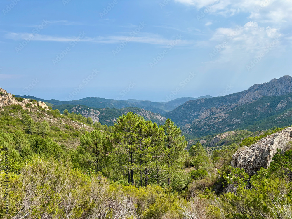 Fototapeta premium Paysage sur la dernière étape du GR20 entre Paliri et Conca