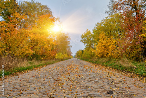 Multicolor Autumn Alley with Cobblestone Road