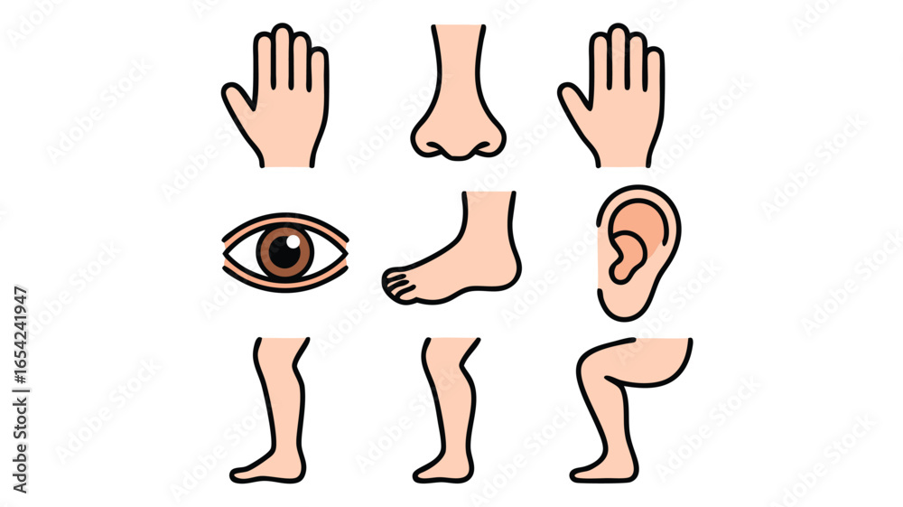 Fototapeta premium Cartoon Depiction of Human Body Parts Featuring Hand, Nose, Eye, Foot, Leg and Ear